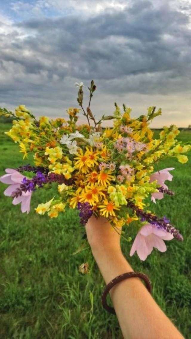Полевые цветы в руках картинки