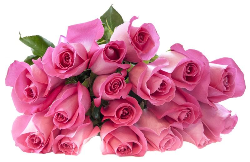 Будьте счастливы просто живите. Розовые розы. Открытка будьте счастливы. Будьте счастливы картинки. Открытки цветы будьте счастливы.