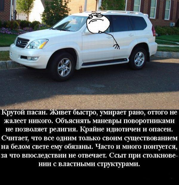 Картинки юмор автошкола